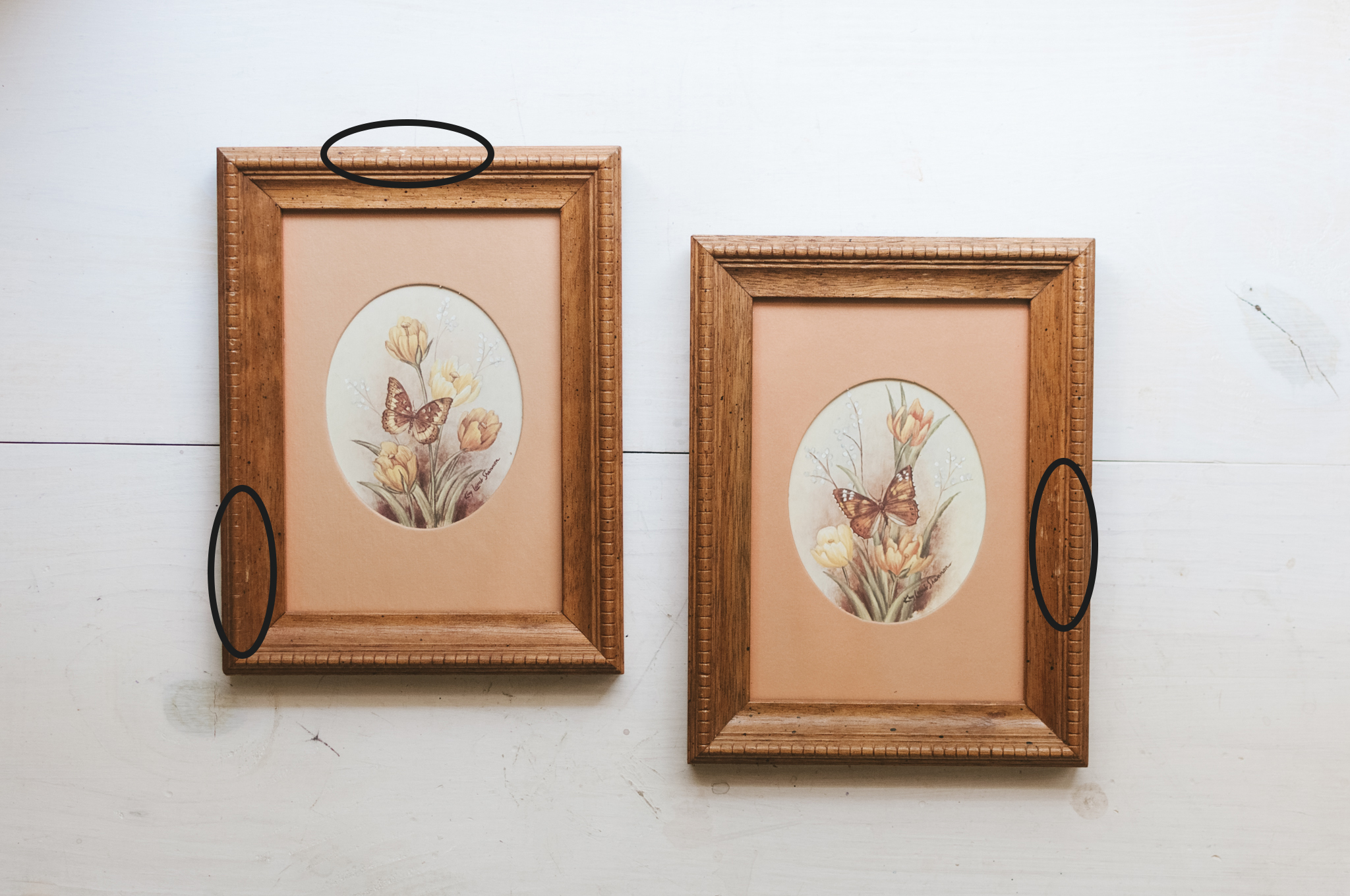 Pair of Vintage Framed Butterfly Prints by Kay Lamb Shannon